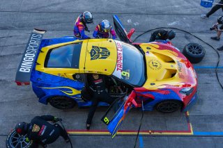 9	BINGO Racing	Motoki	Shinji Takei	Corvette C7 GT3-R | SRO Motorsport Group