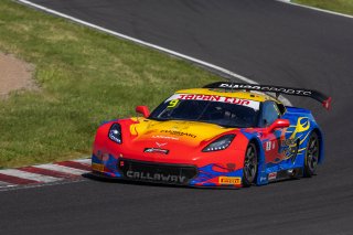 9	BINGO Racing	Motoki	Shinji Takei	Corvette C7 GT3-R | SRO Motorsport Group
