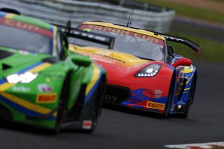 9	BINGO Racing	Shinji Takei	Ukyo Sasahara	Corvette C7 GT3-R	Japan Cup Sugo | SRO Motorsport Group