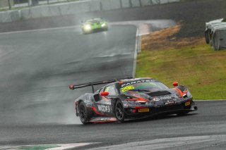 296	Absolute Corse			Andre Canard			Finn Gehrsitz			Ferrari 296 GT3 | SRO Motorsports Group