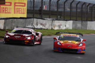 9	BINGO Racing	Shinji Takei	Motoki Takami	Corvette C7 GT3-R | SRO Motorsport Group