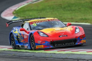 9	BINGO Racing	Shinji Takei	Ukyo Sasahara	Corvette C7 GT3-R	Japan Cup Sugo | SRO Motorsport Group