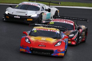 9	BINGO Racing	Shinji Takei	Motoki Takami	Corvette C7 GT3-R | SRO Motorsport Group